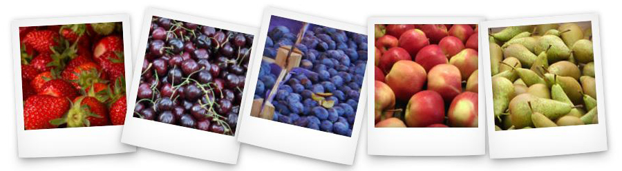 Obsthof: Erdbeeren, Kirschen, Pflaumen, Äpfel und Birnen kaufen